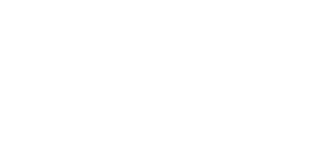 WEDDING PARTY